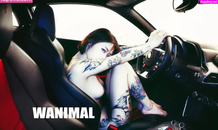 Wanimal Models OnlyFans Thumbnail #xlWsGZhc0B