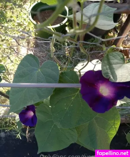 Westtexashippie Main Profile Photo