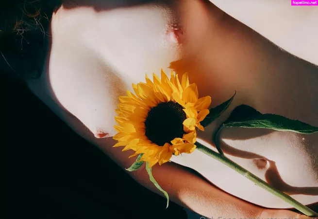 Wetsunflowers OnlyFans Thumbnail #S6ZZdy3J2p