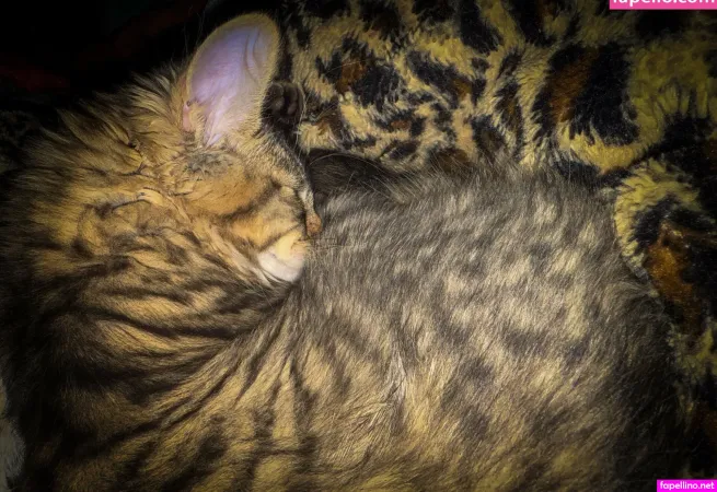 Wettestrose98 OnlyFans Thumbnail #QLckzKUXD1