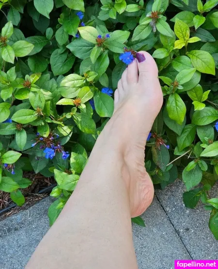 Whisperingwings OnlyFans Thumbnail #yAnq5FIYUi