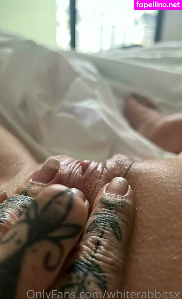 whiterabbitix, whiterabbitsx Nude Leaked OnlyFans Photo #FEyU0GUYAZ