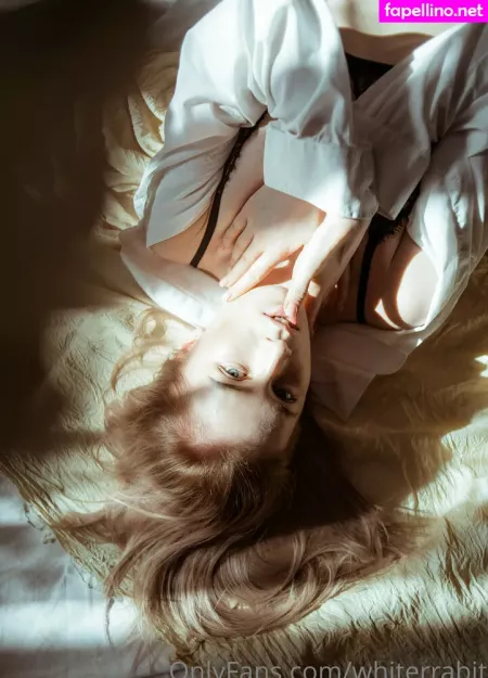 Whiterrabitfree OnlyFans Thumbnail #1LKojQ78RT