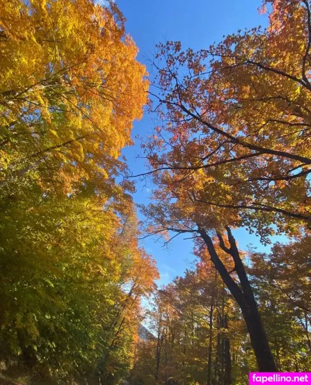 Whoopsiidaisy OnlyFans Thumbnail #jB38KpuLOM