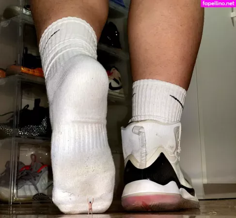 Wild Boar Giant OnlyFans Thumbnail #qlefeLM8NX