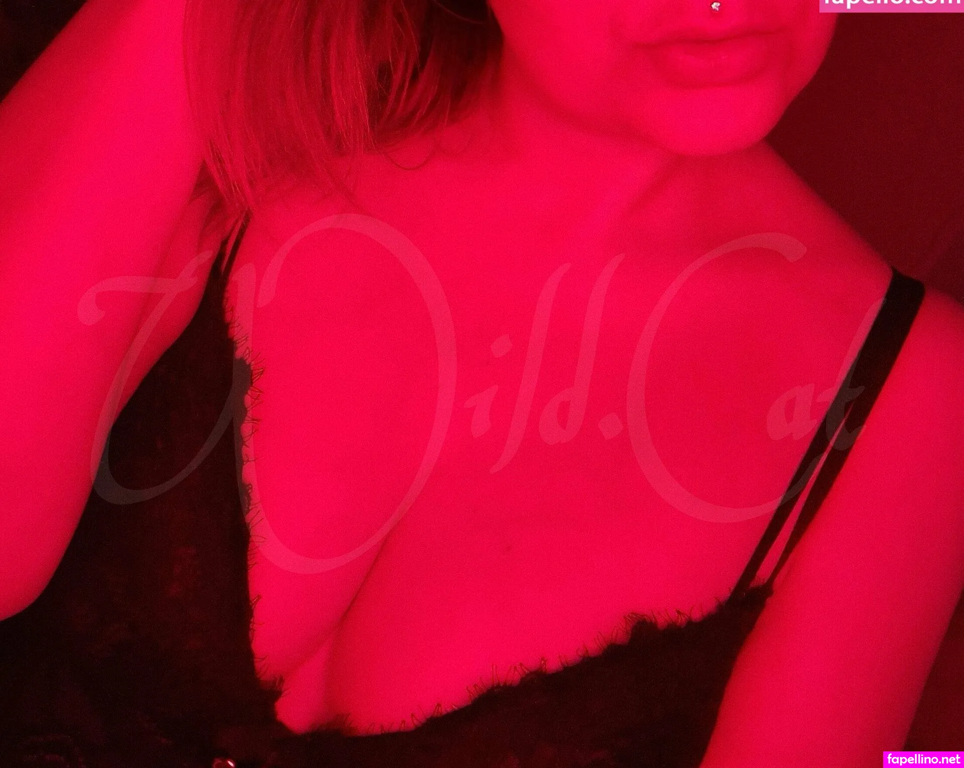 _free_wildcat, wild.catfree Nude Leaked OnlyFans Photo #57RbrkY0Bh