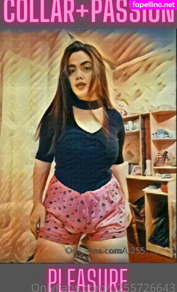 wildboobs Nude Leaked OnlyFans Photo #8E9lugTBFX