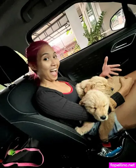 Wildcmk Main Profile Photo