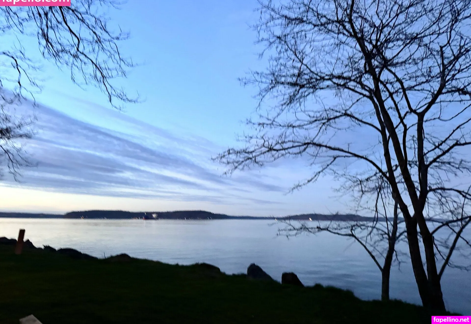 wildhoneydoe Nude Leaked OnlyFans Photo #LuxRH3IqS2