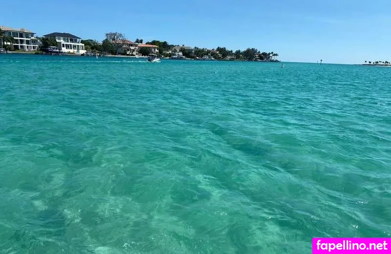 wildlifeprovixen Nude Leaked OnlyFans Photo #nOCBfOSsUE