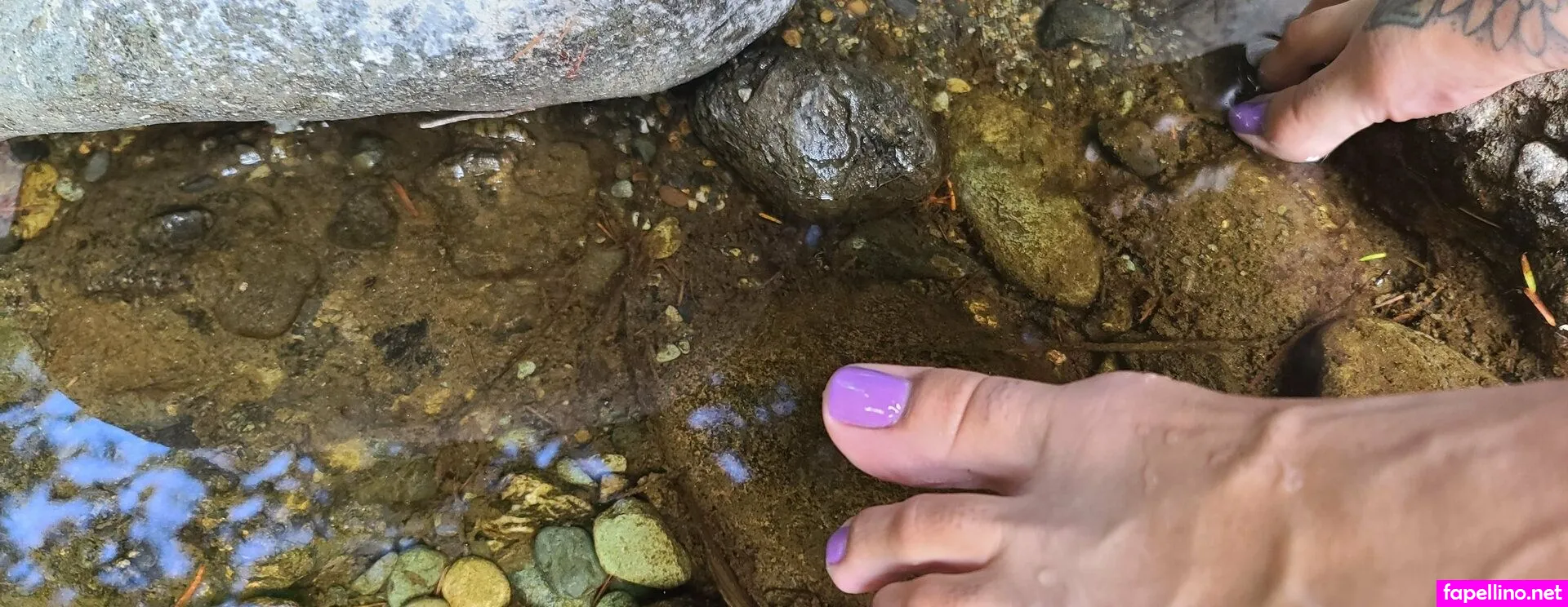 wildsoles84, wildsolez Nude Leaked OnlyFans Photo #8ZaZ8WroVs