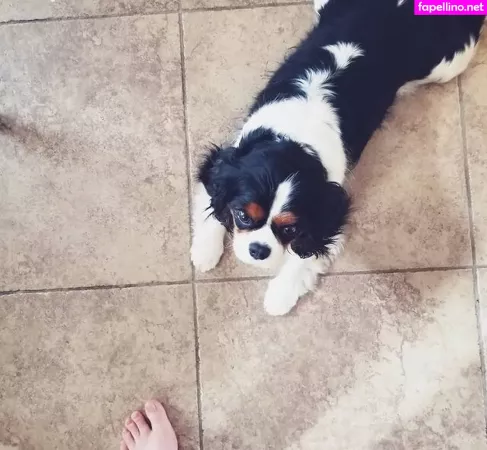 Windham Ryce OnlyFans Thumbnail #7gIAXWBQ8g