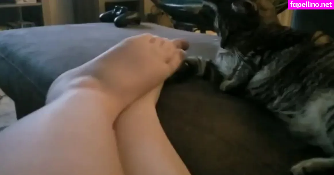 ThatFilthyCasual, windhamryce Nude Leaked OnlyFans Photo #Em0LxqpcNM