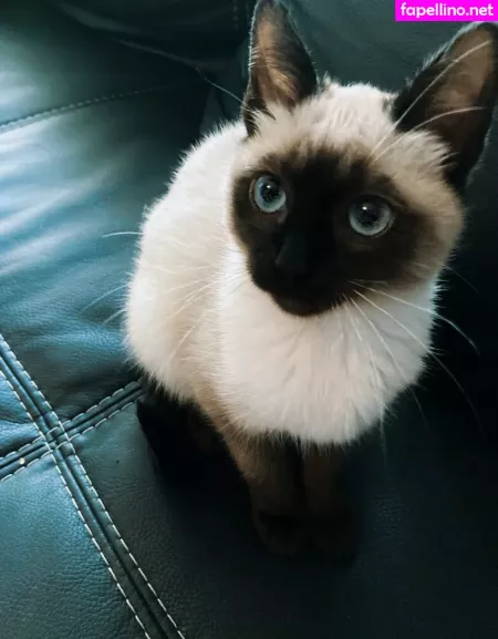 Witchandhansel OnlyFans Thumbnail #NJo6T0sT9A