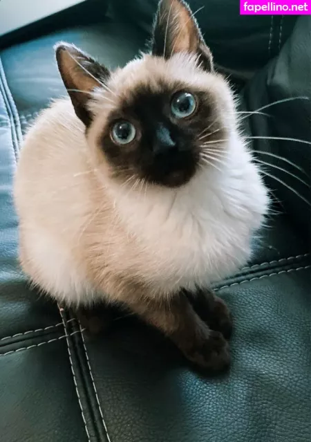 Witchandhansel OnlyFans Thumbnail #h7pLLe5ark