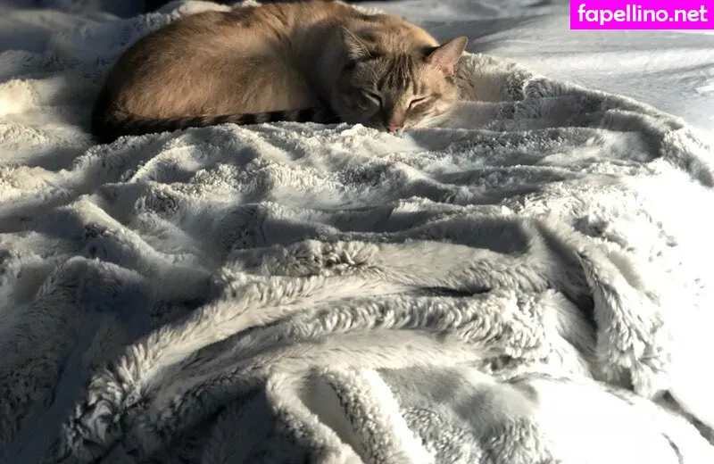 badwolf666_, wolf6actual Nude Leaked OnlyFans Photo #IoUwsSQNQx