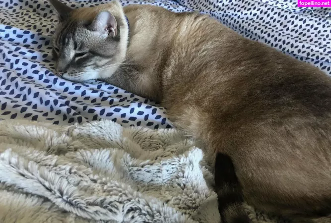 Wolf6actual OnlyFans Thumbnail #dtoYIlVzB0