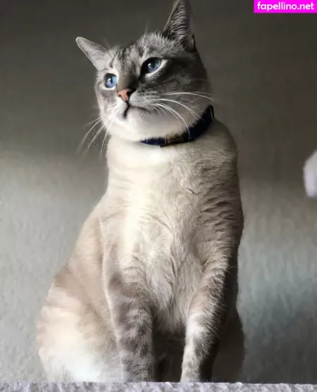 Wolf6actual OnlyFans Thumbnail #iiM0ic5aKg