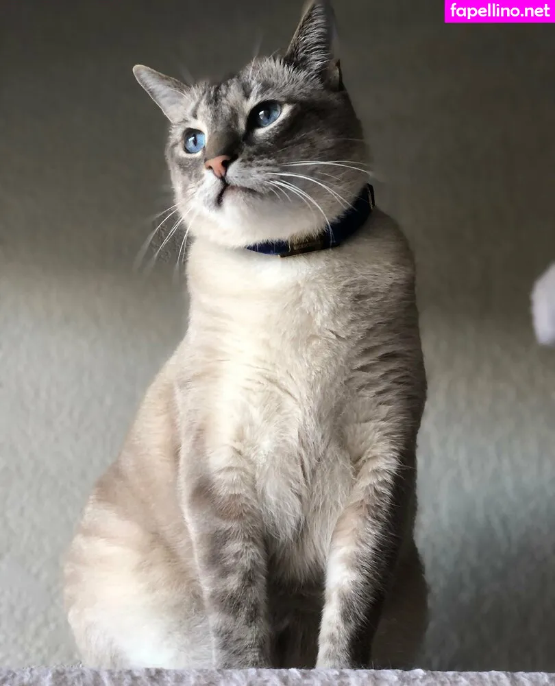 badwolf666_, wolf6actual Nude Leaked OnlyFans Photo #iiM0ic5aKg