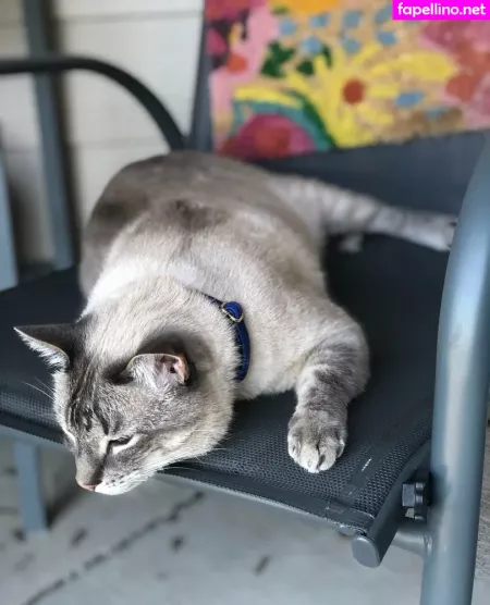 Wolf6actual OnlyFans Thumbnail #wNvrDTUHHX