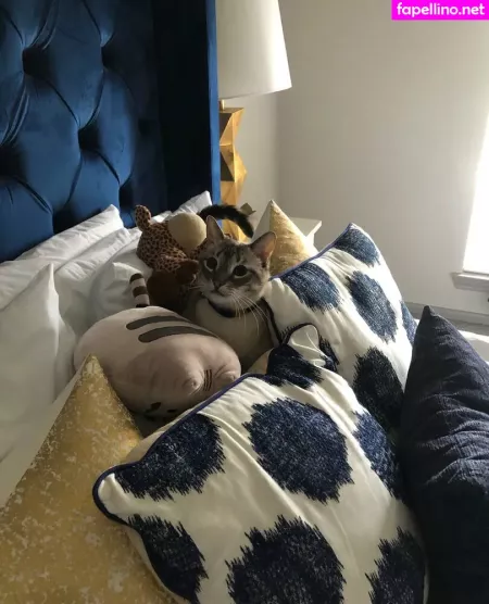 Wolf6actual OnlyFans Thumbnail #wjxTYRf9oQ