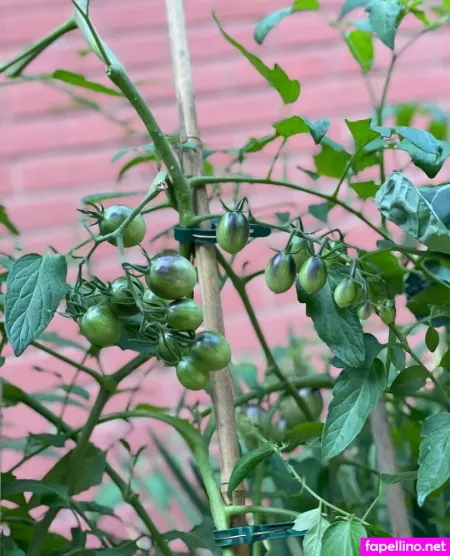 Wolfofthewild 2 OnlyFans Thumbnail #1VNN8xWHhE