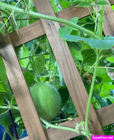 Wolfofthewild 2 OnlyFans Thumbnail #FB1DqdkIyz