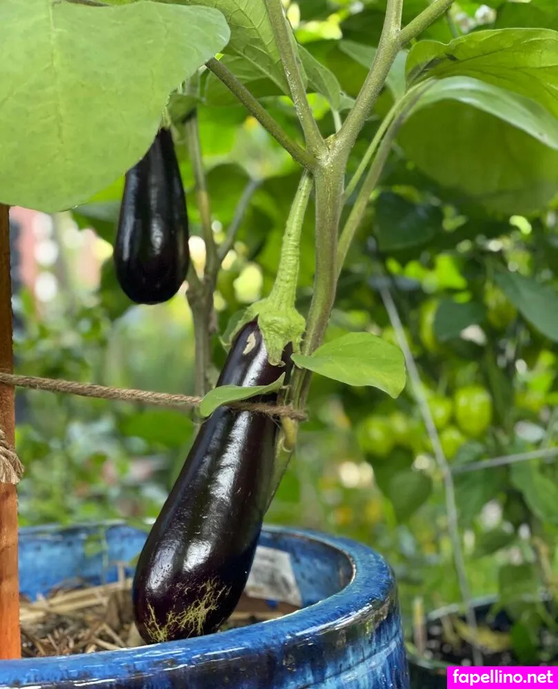 wolfofthewild, wolfofthewildd Nude Leaked OnlyFans Photo #gu5emvdcsE