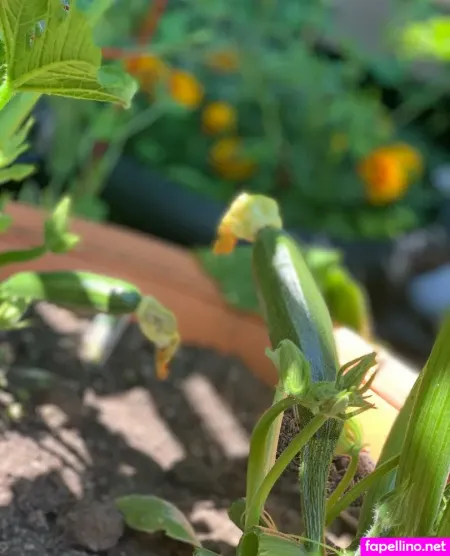 Wolfofthewild 2 OnlyFans Thumbnail #pMI5IJo0y8