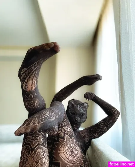 Wrappedinnylon Main Profile Photo