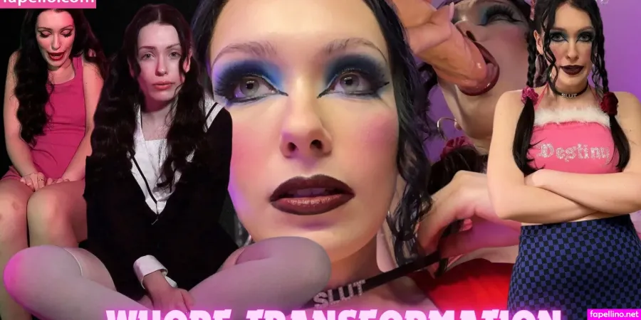 Wsgmv Main Profile Photo