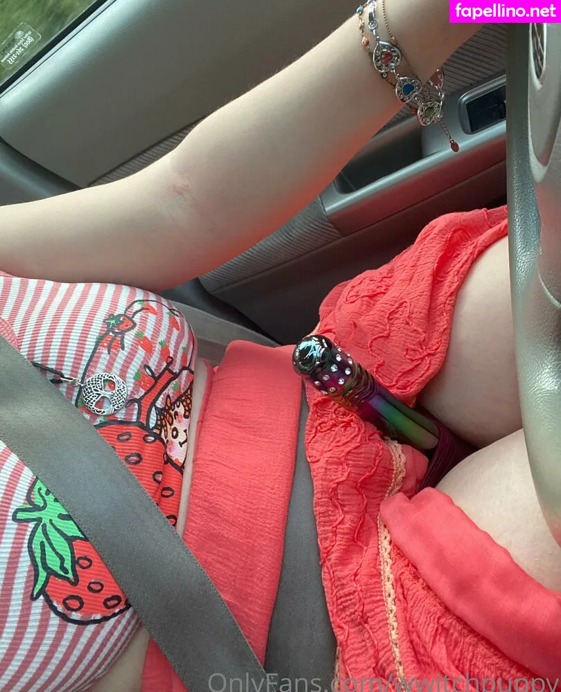 theamazinghappygolucky, wwitchpuppy Nude Leaked OnlyFans Photo #934aVsgyXh