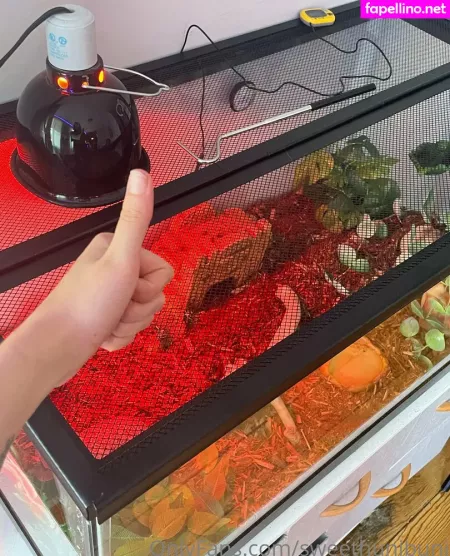 X Cherrybxmb X OnlyFans Thumbnail #LIzZv90vKR