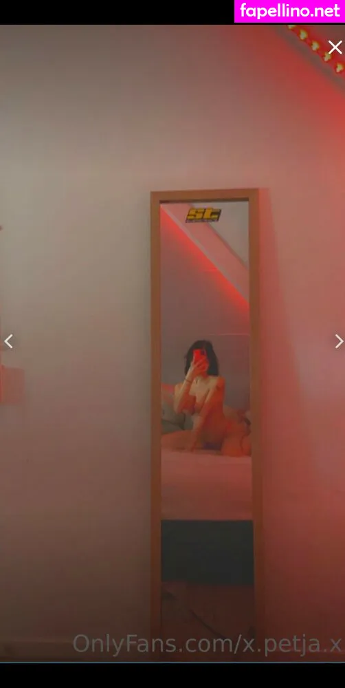 x.petja.x Nude Leaked OnlyFans Photo #K4BWhWB050