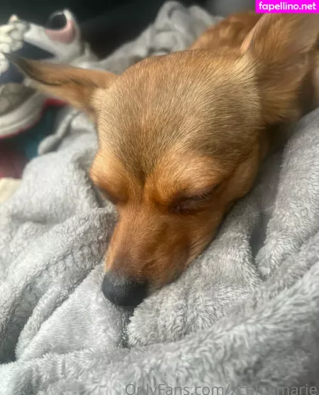 Xchloemarie OnlyFans Thumbnail #cRu8LHhlHR