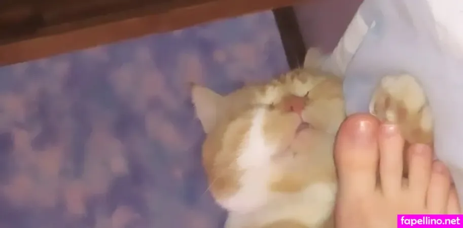 Xenaex OnlyFans Thumbnail #hEZwKjQTHN