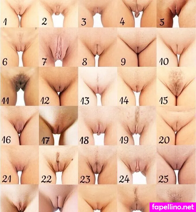 xochampagnexo Nude Leaked OnlyFans Photo #LYmLfOQl6m