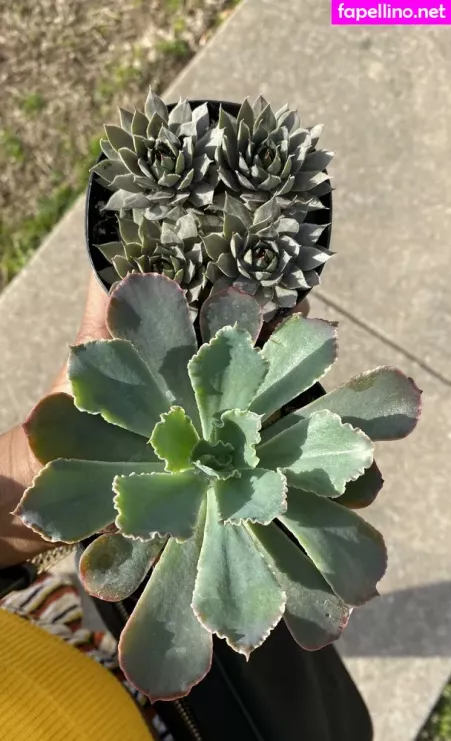 Xoxozozo OnlyFans Thumbnail #x1ZCXtmlXG