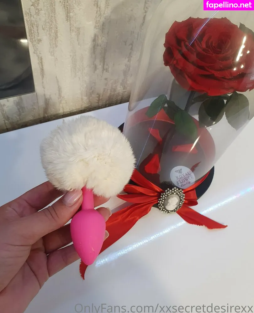 xxsecretdesirexx Nude Leaked OnlyFans Photo #dibc0G9Pri
