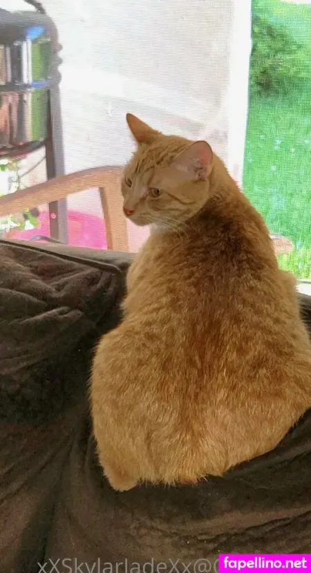 Xxskylarjaydexx OnlyFans Thumbnail #ddDQCTzYLb