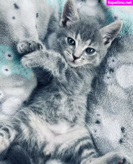 Xxxhookedonbrookefree OnlyFans Thumbnail #GP3xY03RTY