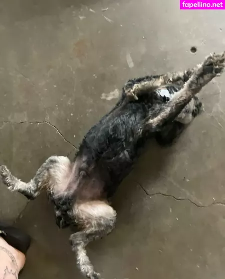 Xzanthia OnlyFans Thumbnail #7f7pFrdZyp