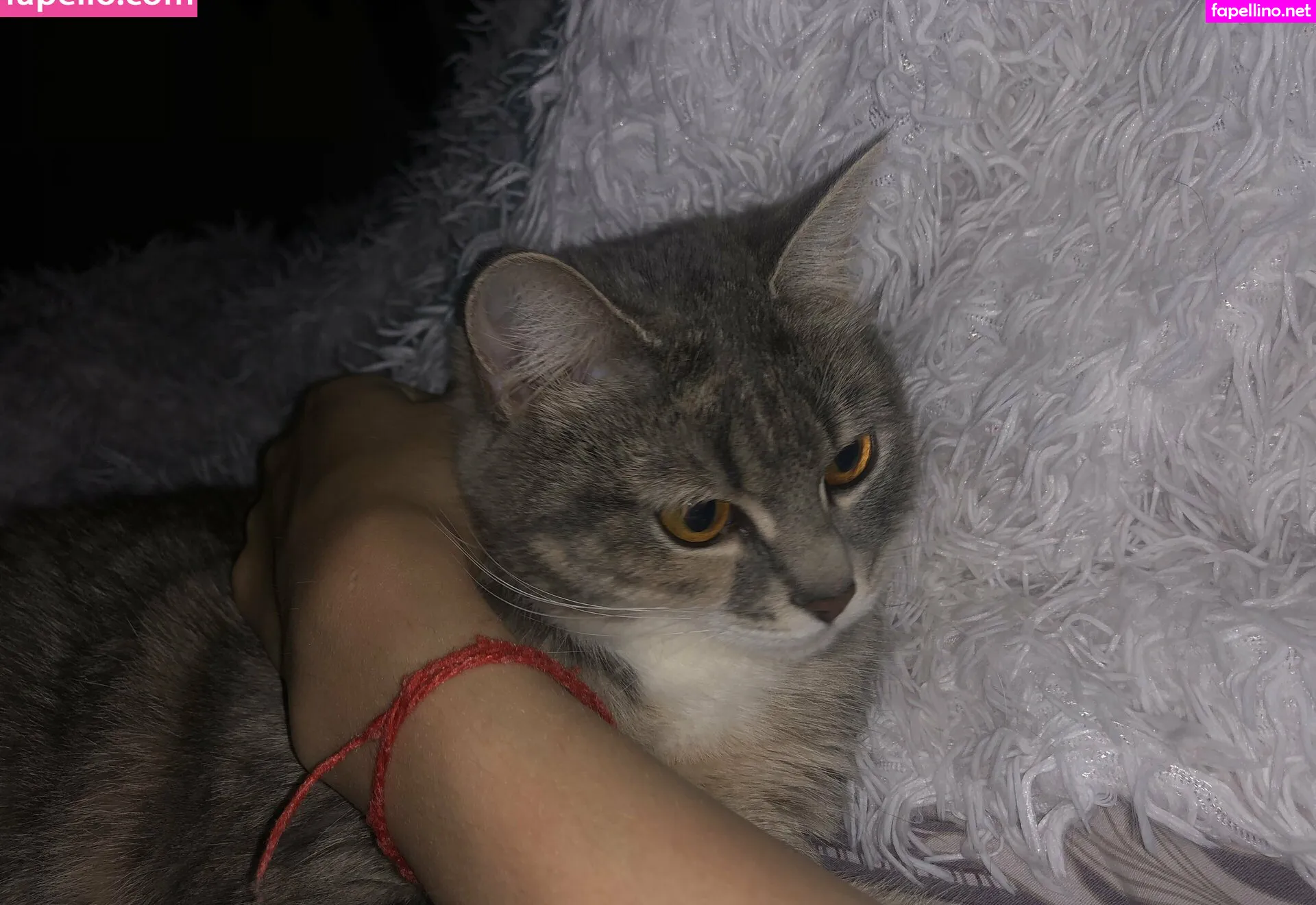 yana_squirrel, yana_squrel_22 Nude Leaked OnlyFans Photo #NiYtSExwlI