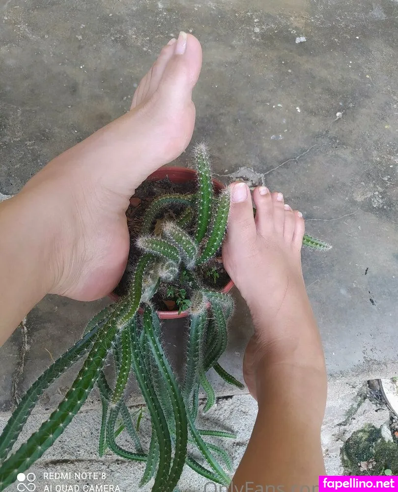 shru2213, yarq22 Nude Leaked OnlyFans Photo #2V2727Wp34