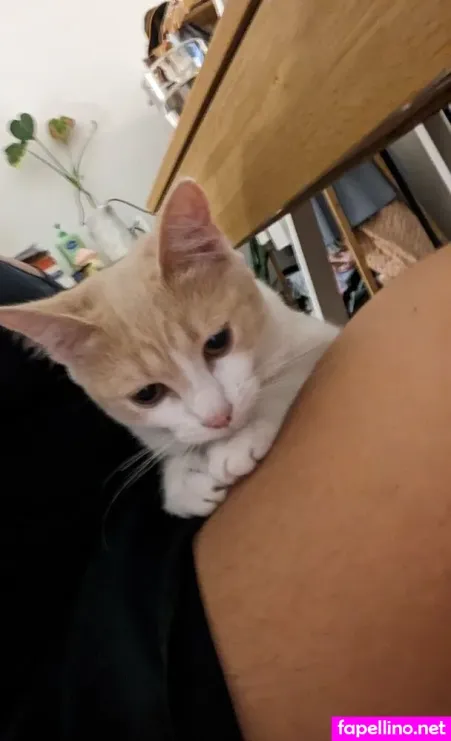 Yeahitsevie OnlyFans Thumbnail #6rD80QKGXQ