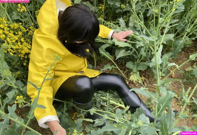 Yellowdreamcap OnlyFans Thumbnail #RWcz3OvJXR