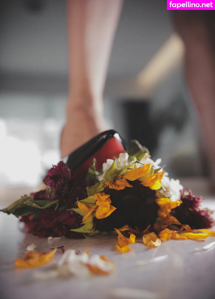 _amberdenisee, yesameliafree Nude Leaked OnlyFans Photo #TjJmt4VYbk