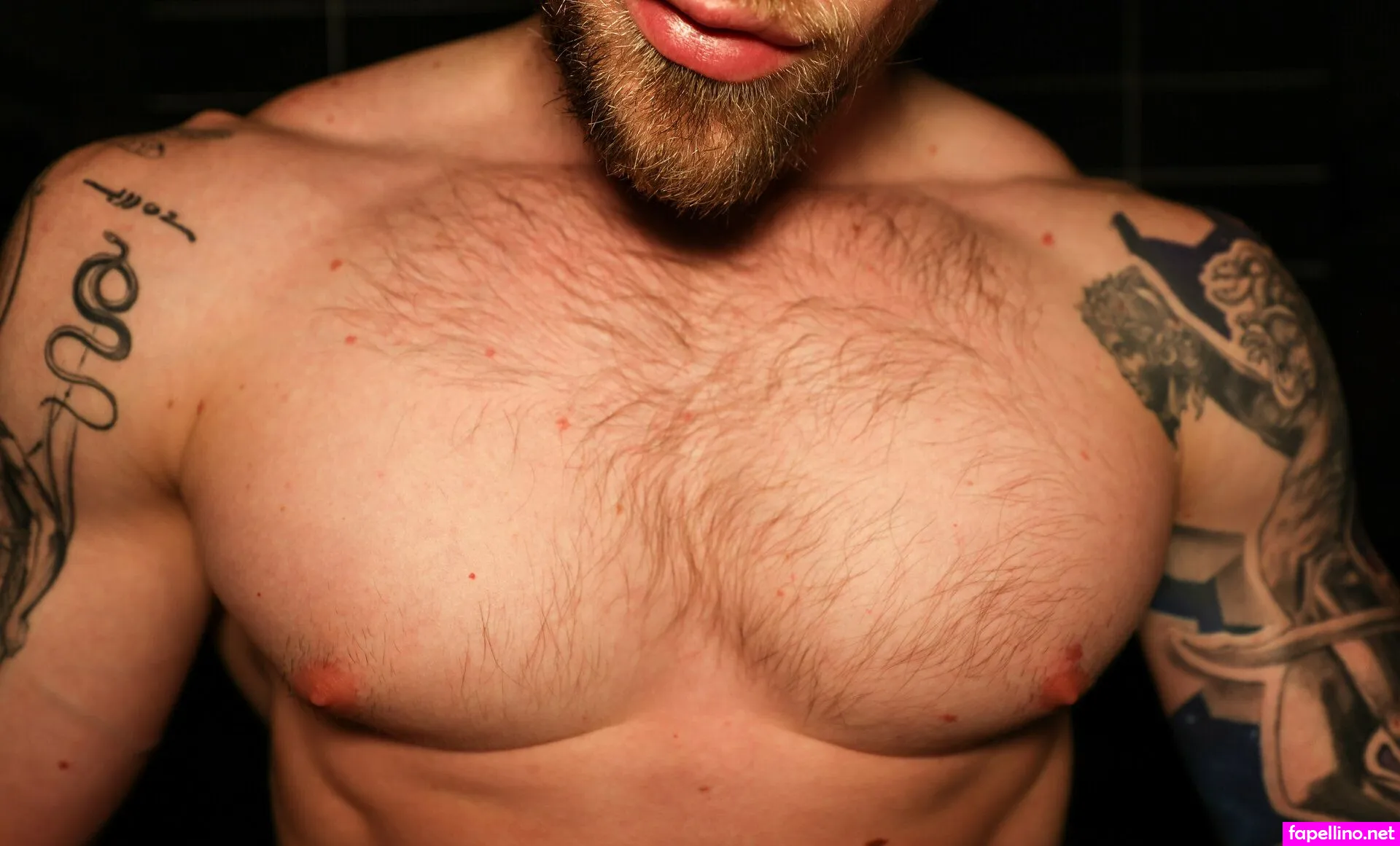 yesbrawnfree, yesbrawnx Nude Leaked OnlyFans Photo #U6nIfXjp16