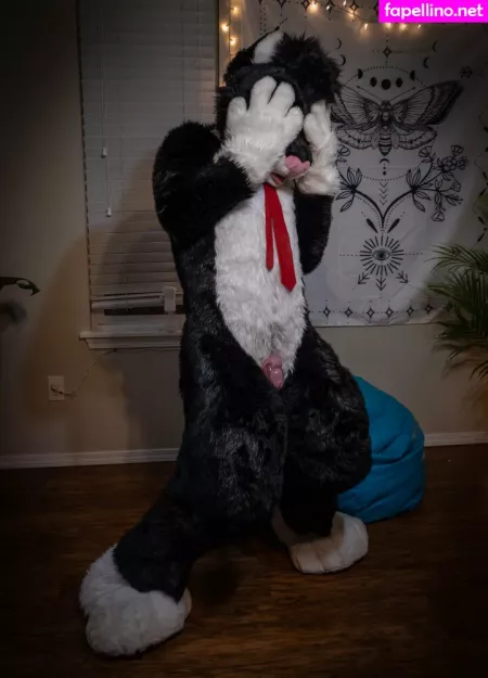 Yiffykitty OnlyFans Thumbnail #HvTkj5CDXA