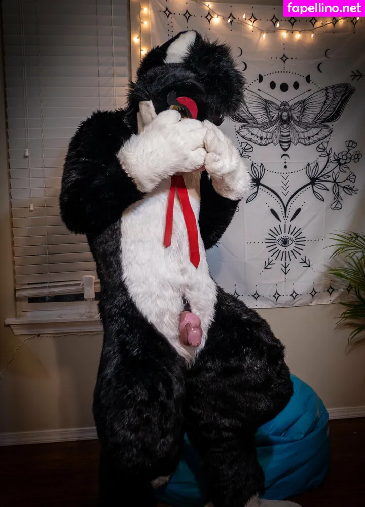 yiffykitty Nude Leaked OnlyFans Photo #e5vCyzNSTz